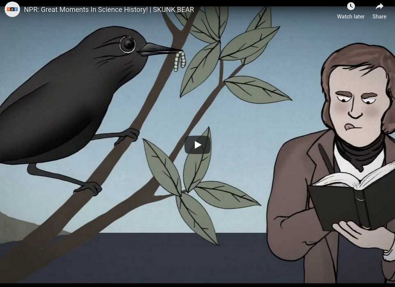 Npr Videos: Skunk Bear: Npr: Great Moments in Science History! Instructional Video Npr Videos: Skunk Bear: Npr: Great Moments in Science History! Instructional Video