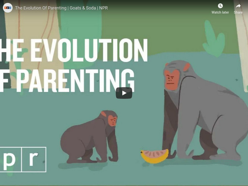 Npr Videos: Skunk Bear: The Evolution of Parenting | Goats & Soda Instructional Video Npr Videos: Skunk Bear: The Evolution of Parenting | Goats & Soda Instructional Video