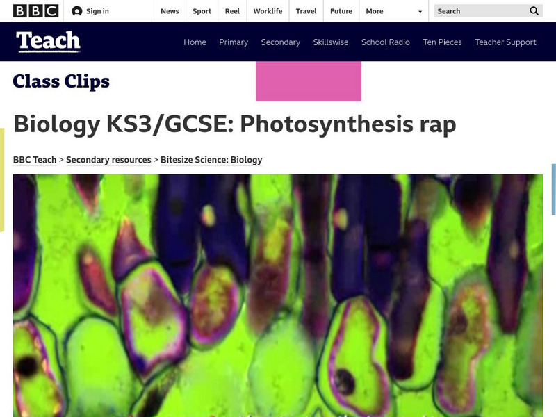 Bbc Teach: Photosynthesis Rap Instructional Video Bbc Teach: Photosynthesis Rap Instructional Video