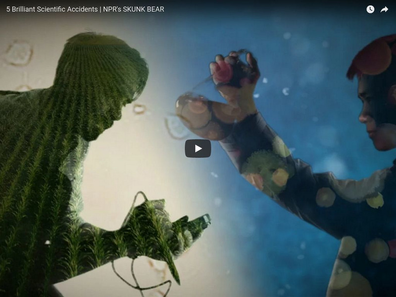 Npr Videos: Skunk Bear: 5 Brilliant Scientific Accidents Instructional Video Npr Videos: Skunk Bear: 5 Brilliant Scientific Accidents Instructional Video