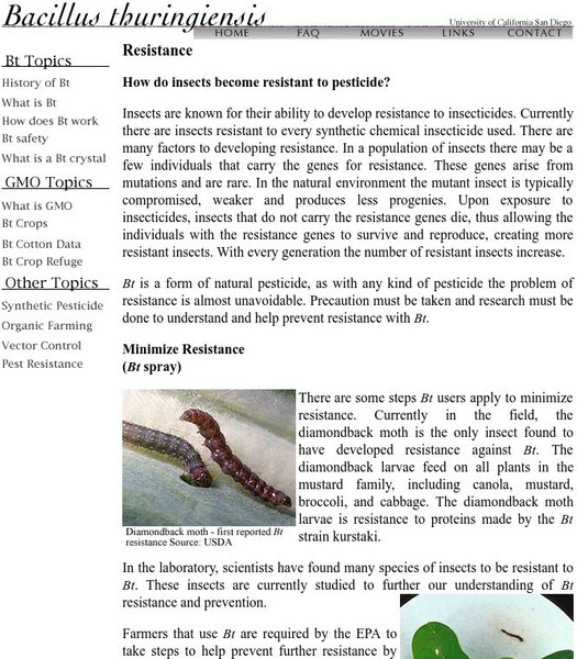 Bacillus Thuringiensis: How Do Insects Become Resistant to Pesticide? Article Bacillus Thuringiensis: How Do Insects Become Resistant to Pesticide? Article