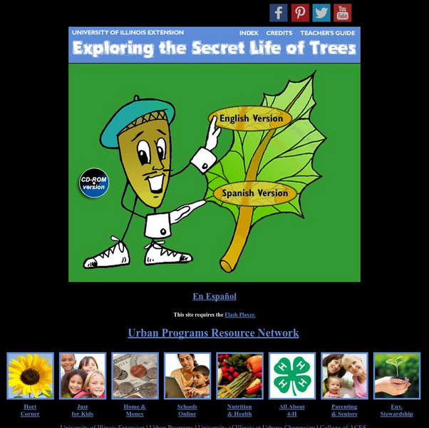 University of Illinois Extension: Exploring the Secret Life of Trees Interactive University of Illinois Extension: Exploring the Secret Life of Trees Interactive