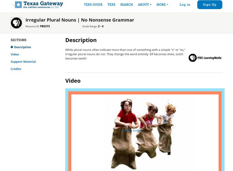 Texas Gateway: Irregular Plural Nouns: No Nonsense Grammar Instructional Video Texas Gateway: Irregular Plural Nouns: No Nonsense Grammar Instructional Video