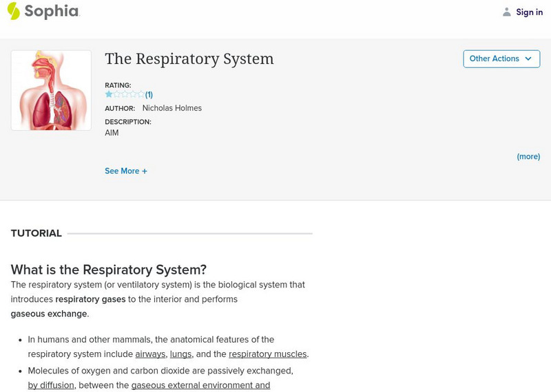 Sophia: The Respiratory System Handout Sophia: The Respiratory System Handout
