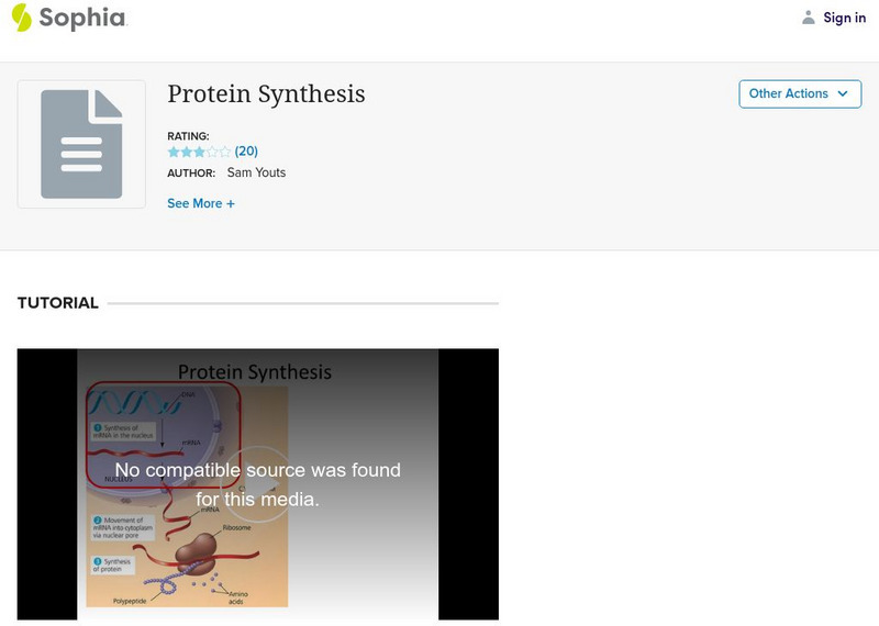 Sophia: Protein Synthesis Instructional Video