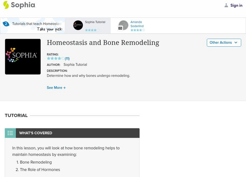 Sophia: Homeostasis and Bone Remodeling Handout Sophia: Homeostasis and Bone Remodeling Handout