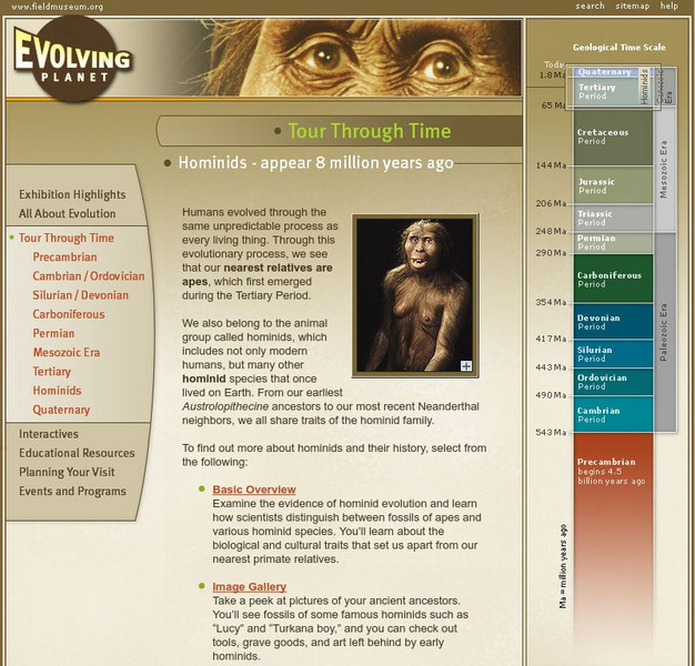 Field Museum: Exhibits: Evolving Planet: Hominids Website Field Museum: Exhibits: Evolving Planet: Hominids Website