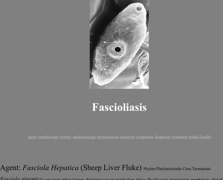 Standford: Fascioliasis Handout