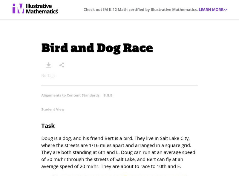 Illustrative Mathematics: 8.g Bird and Dog Race Lesson Plan Illustrative Mathematics: 8.g Bird and Dog Race Lesson Plan