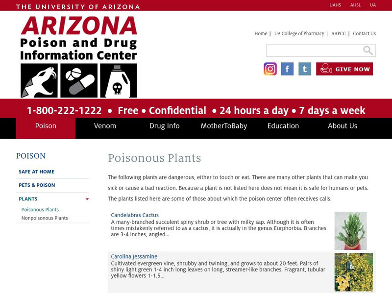 Poison and Drug Info. Center: Poisonous Plants Handout