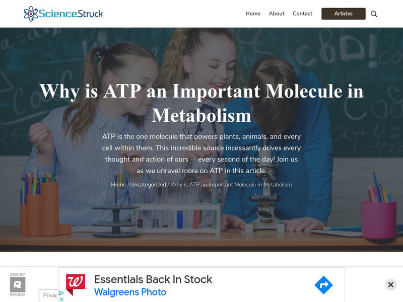 Science Struck: Why Is Atp an Important Molecule in Metabolism Handout Science Struck: Why Is Atp an Important Molecule in Metabolism Handout