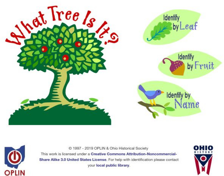 What Tree Is It? Interactive What Tree Is It? Interactive