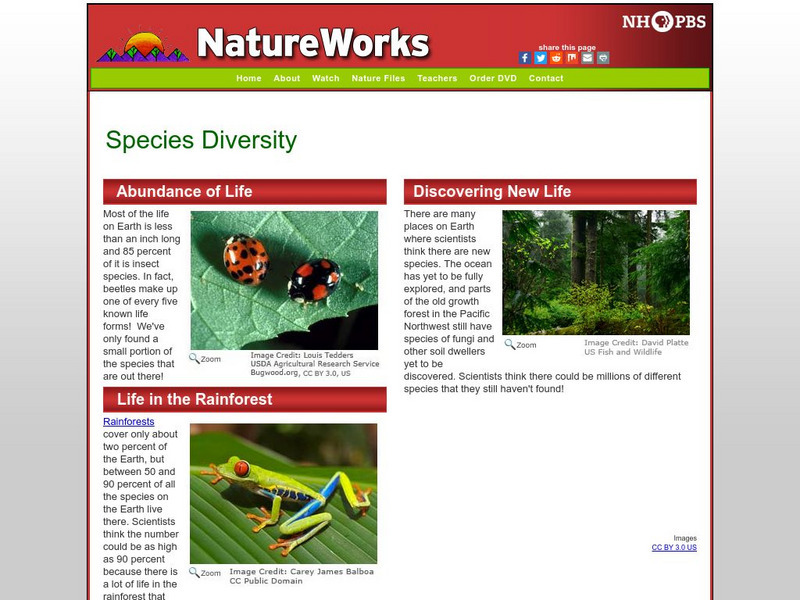 Nh Pbs: Nature Works: Species Diversity Website Nh Pbs: Nature Works: Species Diversity Website
