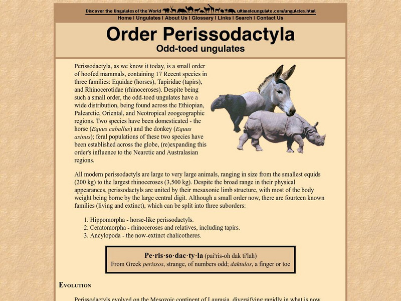 The Ultimate Ungulate Page: Order Perissodactyla Handout The Ultimate Ungulate Page: Order Perissodactyla Handout