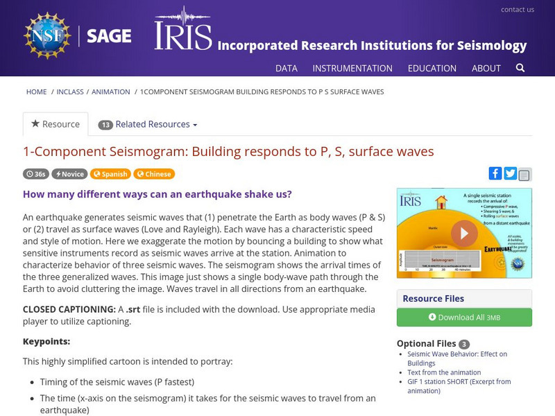 Iris: 1 Component Seismogram: Building Responds to P, S, Surface Waves Instructional Video Iris: 1 Component Seismogram: Building Responds to P, S, Surface Waves Instructional Video