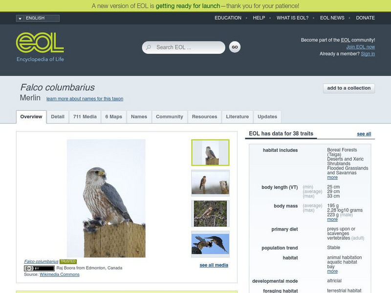 Encyclopedia of Life: Merlin Handout