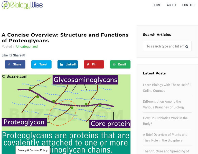Biology Wise: Structure and Functions of Proteoglycans Handout Biology Wise: Structure and Functions of Proteoglycans Handout
