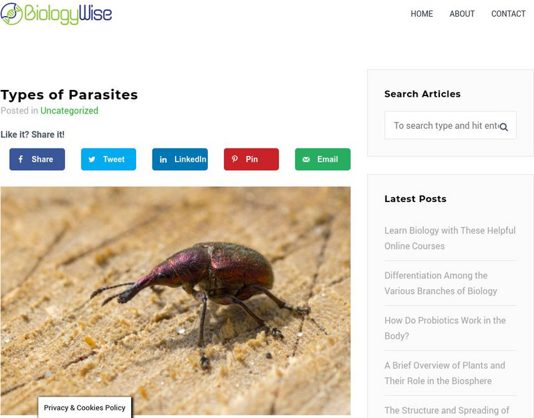Biology Wise: Types of Parasites Handout Biology Wise: Types of Parasites Handout