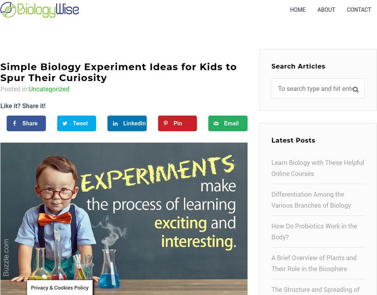 Biology Wise: Simple Biology Experiment Ideas for Kids Activity