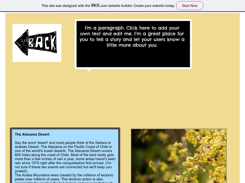 The History Cat: Geography: Places: Atacama Desert Handout The History Cat: Geography: Places: Atacama Desert Handout