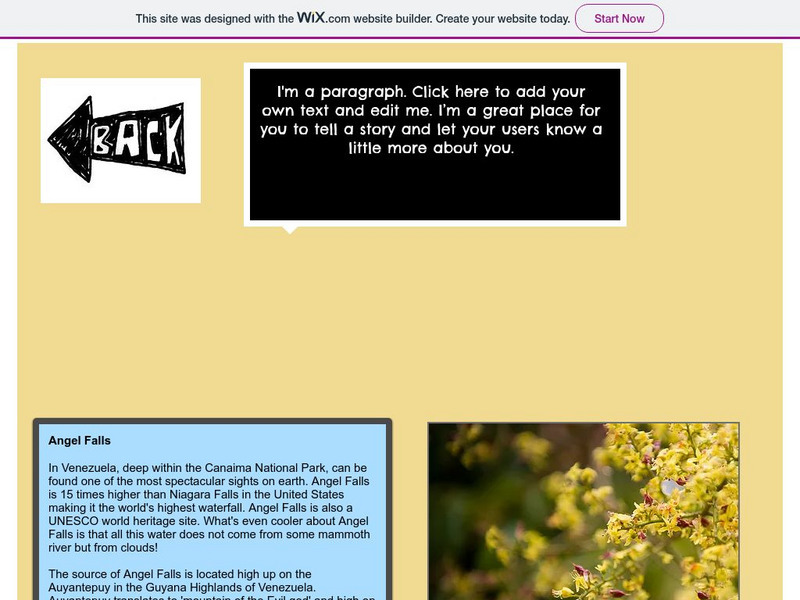 The History Cat: Geography: Places: Venezuela's Angel Falls Handout