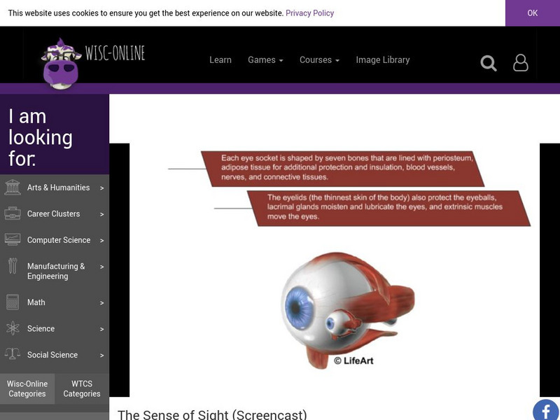 Wisc Online: The Sense of Sight Instructional Video