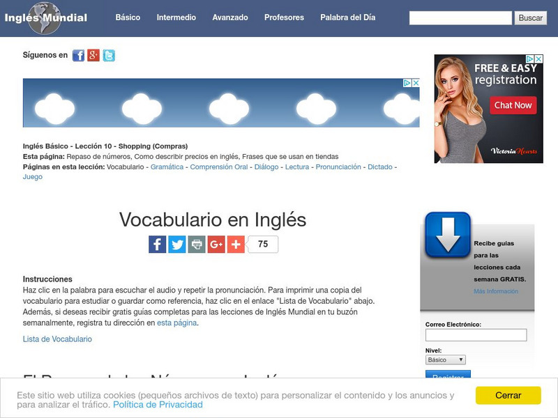 Ingles Mundial: Shopping Vocabulary Unit Plan