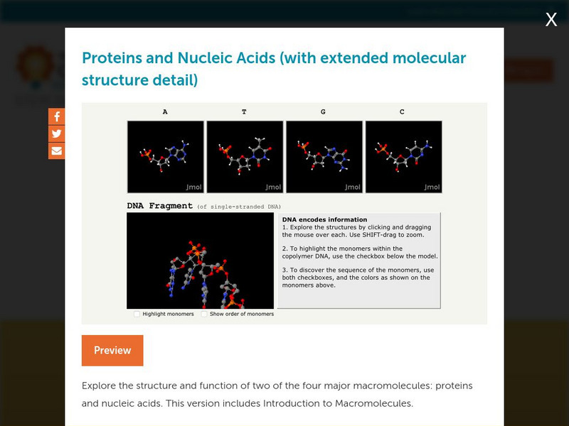 Concord Consortium: Proteins and Nucleic Acids Unit Plan Concord Consortium: Proteins and Nucleic Acids Unit Plan
