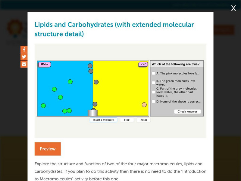 Concord Consortium: Lipids and Carbohydrates Unit Plan Concord Consortium: Lipids and Carbohydrates Unit Plan