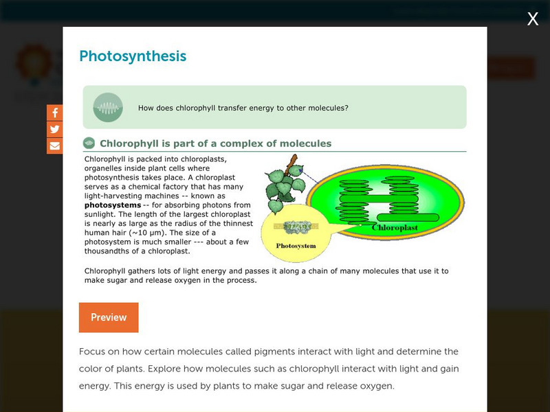 Concord Consortium: Photosynthesis Unit Plan Concord Consortium: Photosynthesis Unit Plan