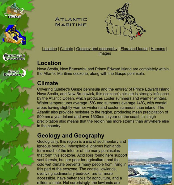 Mc Gill University: Canadian Biodiversity: Ecozones: Atlantic Maritime Handout Mc Gill University: Canadian Biodiversity: Ecozones: Atlantic Maritime Handout