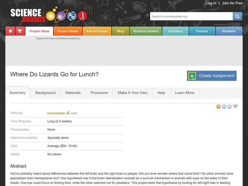 Science Buddies: Where Do Lizards Go for Lunch? Activity Science Buddies: Where Do Lizards Go for Lunch? Activity