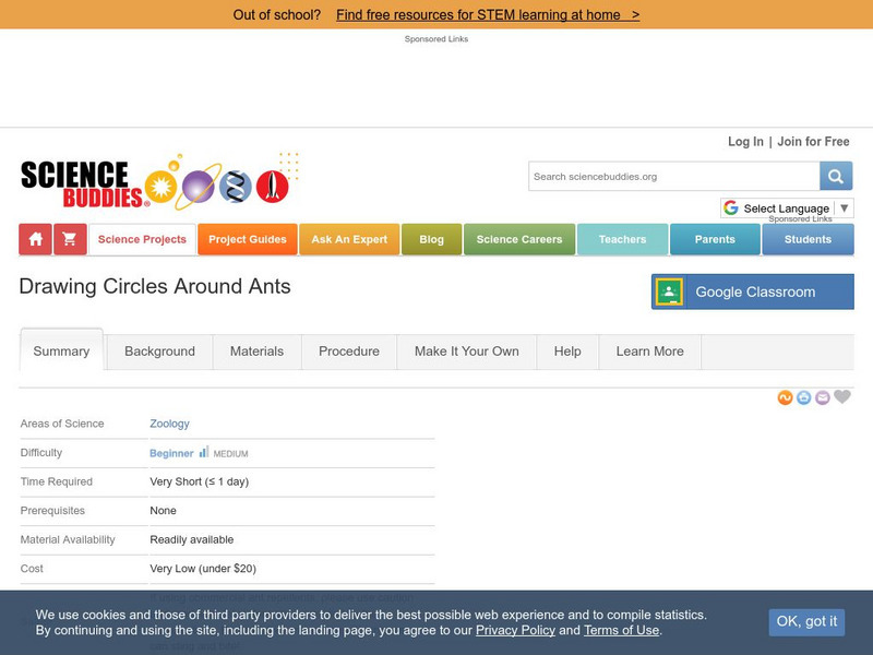 Science Buddies: Drawing Circles Around Ants Article Science Buddies: Drawing Circles Around Ants Article