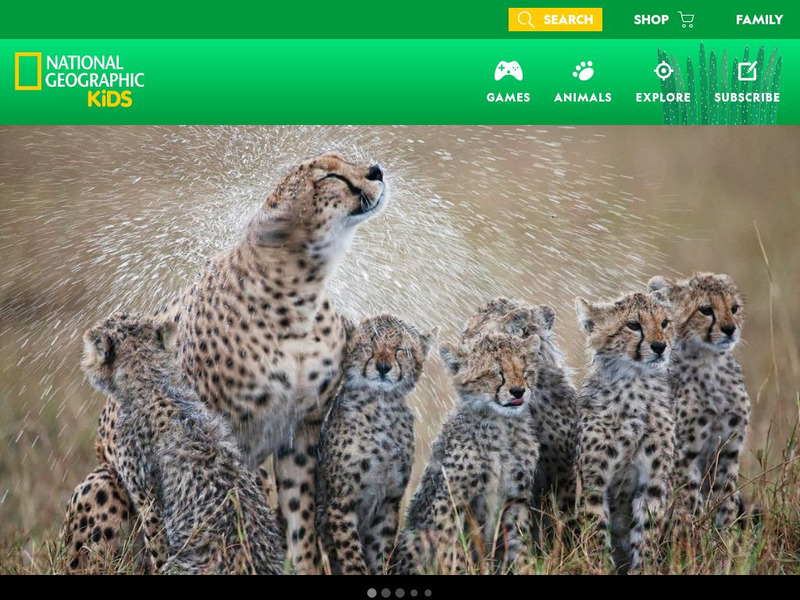National Geographic Kids: Animals: Cheetahs Interactive National Geographic Kids: Animals: Cheetahs Interactive
