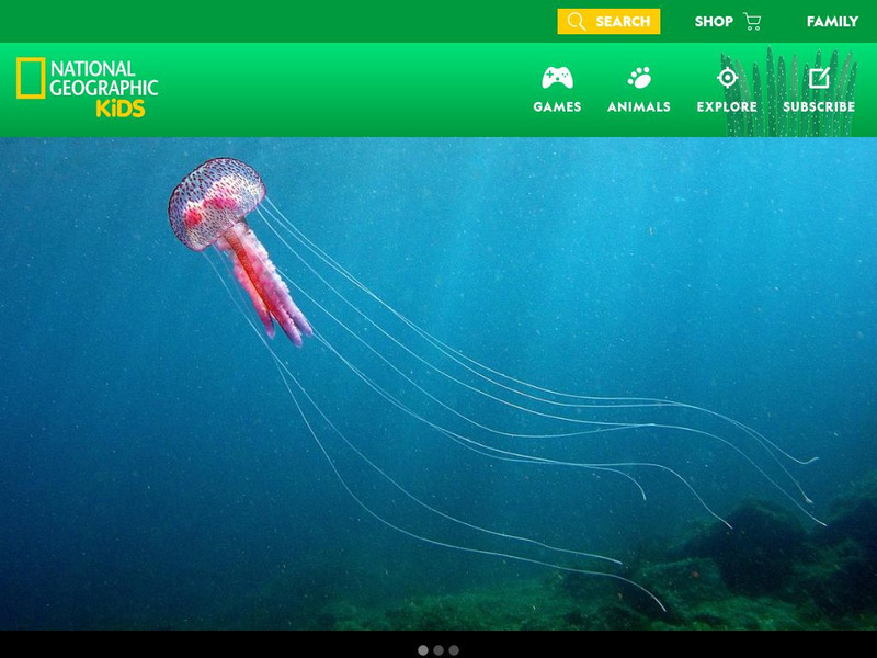 National Geographic Kids: Animals: Jellyfish Interactive National Geographic Kids: Animals: Jellyfish Interactive