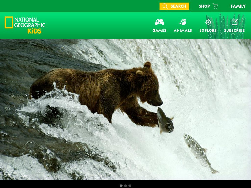 National Geographic Kids: Animals: Brown Bears Interactive National Geographic Kids: Animals: Brown Bears Interactive