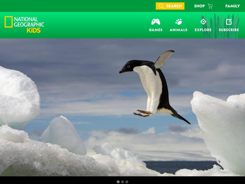 National Geographic Kids: Animals: Adelie Penguins Interactive