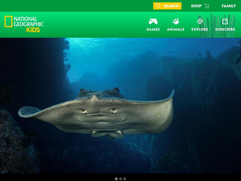 National Geographic Kids: Animals: Stingrays Interactive National Geographic Kids: Animals: Stingrays Interactive