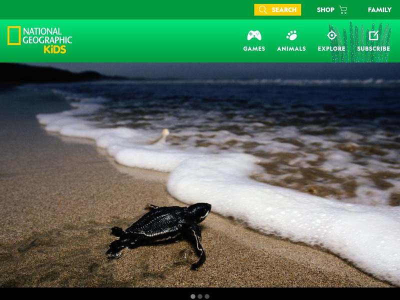 National Geographic Kids: Animals: Leatherback Sea Turtles Interactive National Geographic Kids: Animals: Leatherback Sea Turtles Interactive