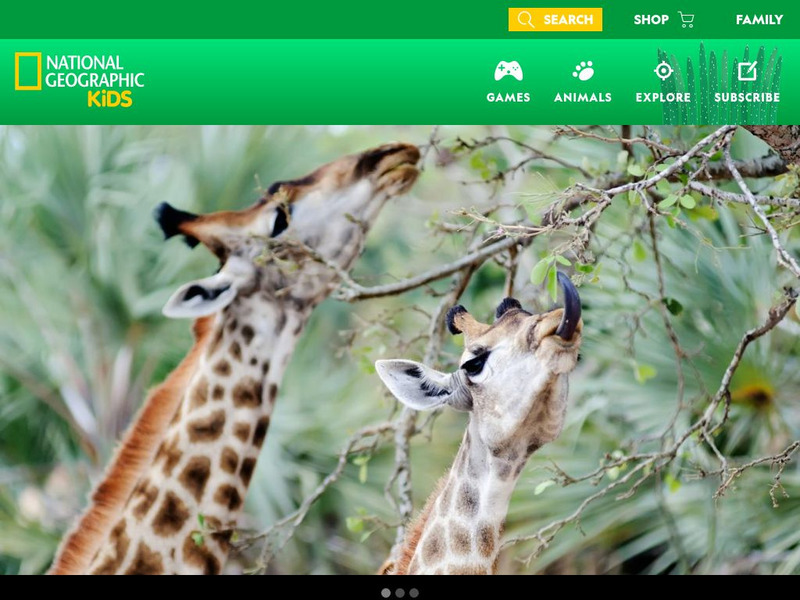 National Geographic Kids: Animals: Giraffes Interactive National Geographic Kids: Animals: Giraffes Interactive