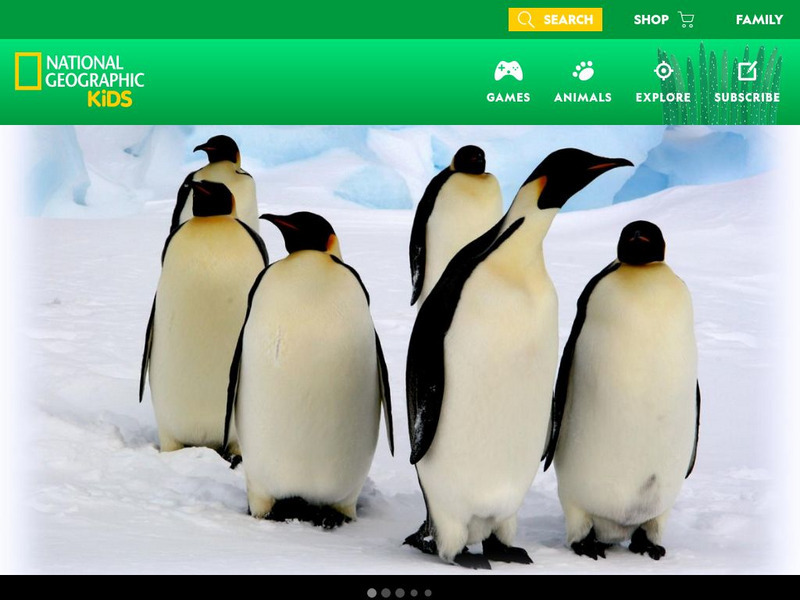 National Geographic Kids: Animals: Emperor Penguin Interactive National Geographic Kids: Animals: Emperor Penguin Interactive