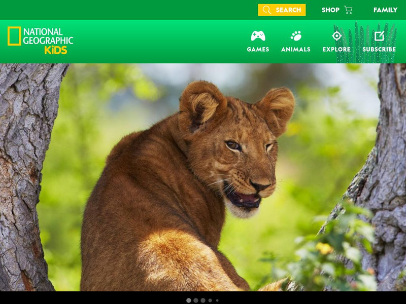 National Geographic Kids: Animals: Lions Interactive National Geographic Kids: Animals: Lions Interactive