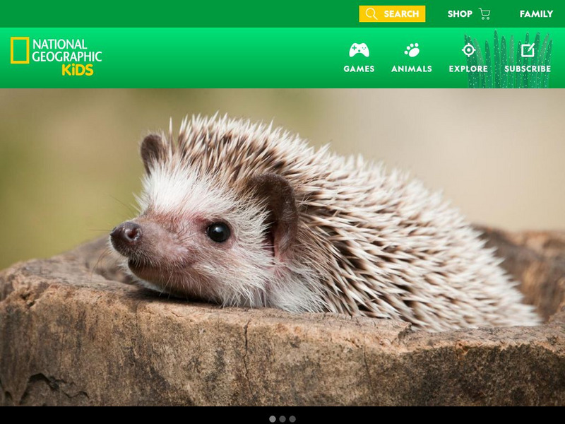 National Geographic Kids: Animals: Hedgehogs Interactive