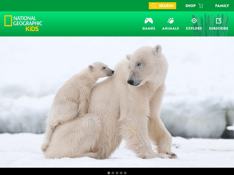National Geographic Kids: Animals: Polar Bears Interactive National Geographic Kids: Animals: Polar Bears Interactive