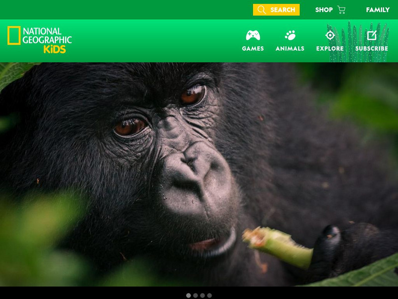 National Geographic Kids: Animals: Mountain Gorillas Interactive National Geographic Kids: Animals: Mountain Gorillas Interactive