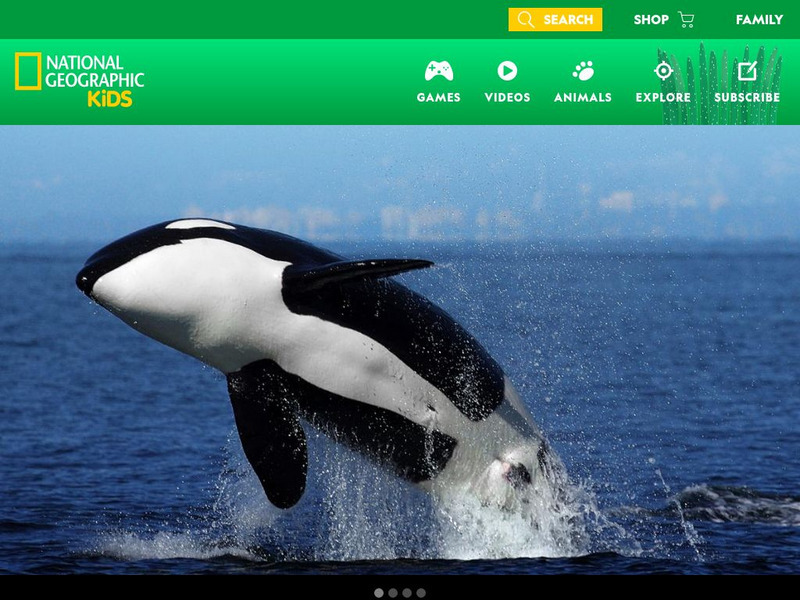 National Geographic Kids: Animals: Orcas Interactive National Geographic Kids: Animals: Orcas Interactive