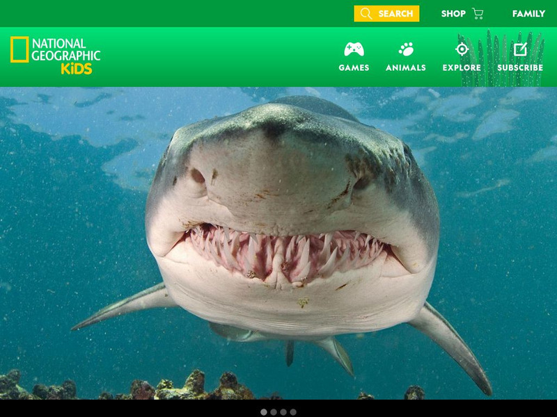 National Geographic Kids: Animals: Sand Tiger Shark Interactive National Geographic Kids: Animals: Sand Tiger Shark Interactive