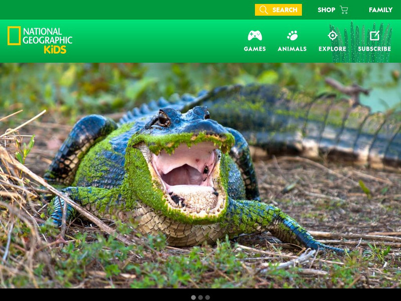 National Geographic Kids: Animals: American Alligators Interactive National Geographic Kids: Animals: American Alligators Interactive