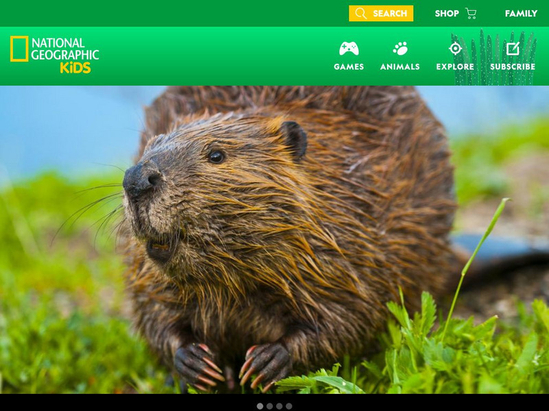 National Geographic Kids: Animals: Beavers Interactive National Geographic Kids: Animals: Beavers Interactive
