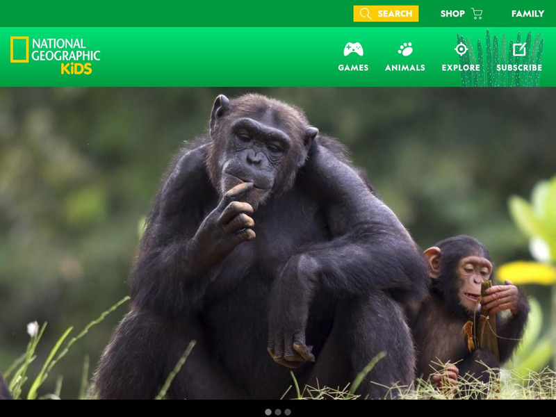 National Geographic Kids: Animals: Chimpanzee Interactive National Geographic Kids: Animals: Chimpanzee Interactive
